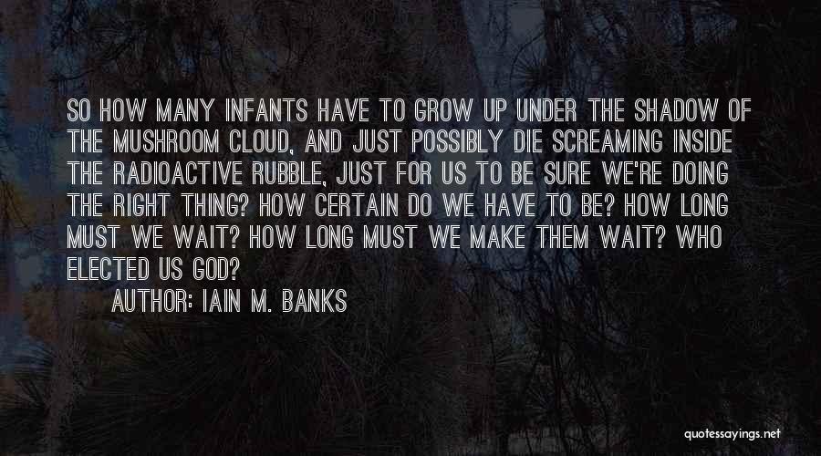 Rubble Quotes By Iain M. Banks