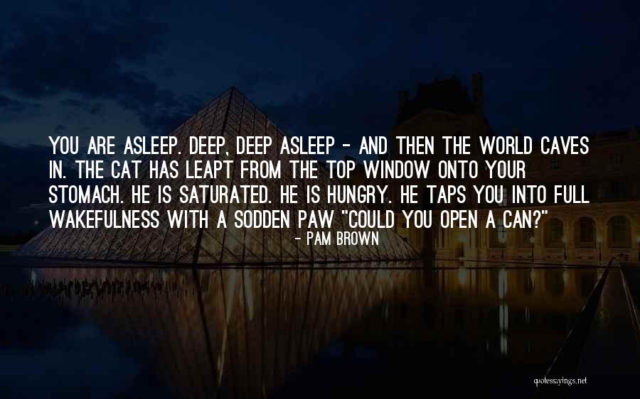 Ruben Papian Howtowish Quotes By Pam Brown Ruben Papian Howtowish Quotes By Pam Brown