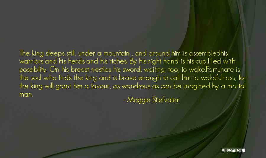 Rubettes Sha Quotes By Maggie Stiefvater Rubettes Sha Quotes By Maggie Stiefvater
