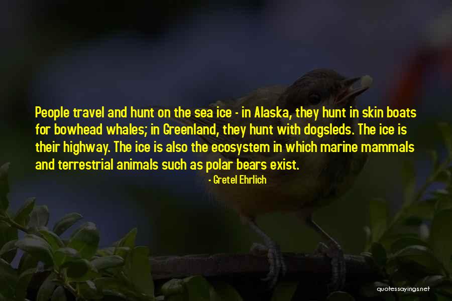 Rubinowicz Diego Quotes By Gretel Ehrlich Rubinowicz Diego Quotes By Gretel Ehrlich