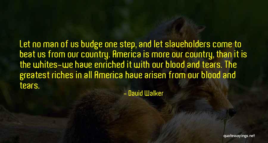 Ruboriza Quotes By David Walker Ruboriza Quotes By David Walker