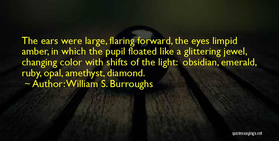 Ruby Jewel Quotes By William S. Burroughs