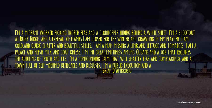 Ruby Ridge Quotes By Brian D'Ambrosio Ruby Ridge Quotes By Brian D'Ambrosio
