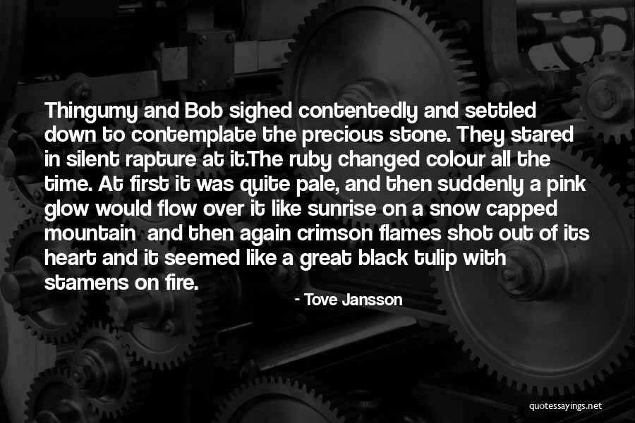 Ruby Stone Quotes By Tove Jansson Ruby Stone Quotes By Tove Jansson