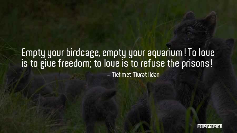 Ruchika Kapoor Quotes By Mehmet Murat Ildan Ruchika Kapoor Quotes By Mehmet Murat Ildan