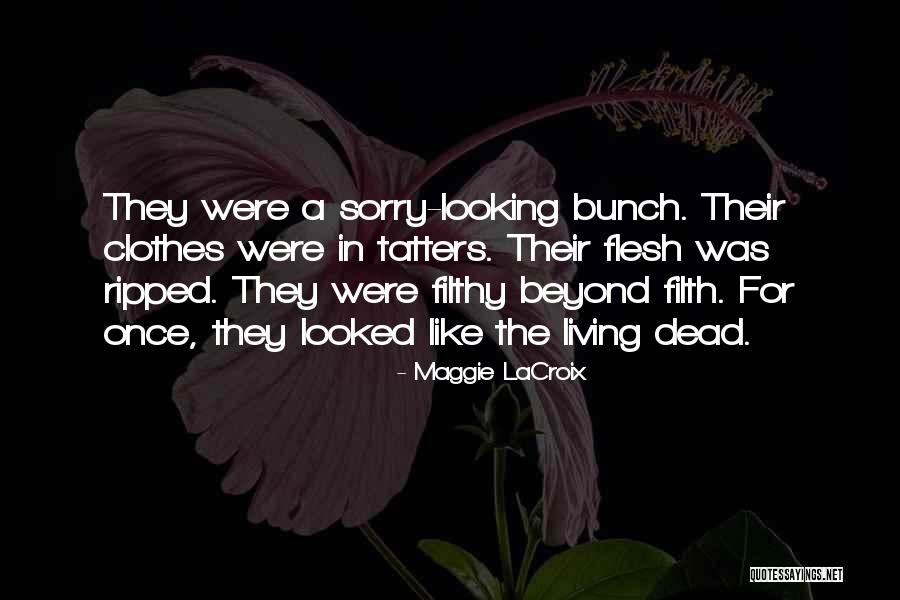 Ruckus Scooter Quotes By Maggie LaCroix Ruckus Scooter Quotes By Maggie LaCroix