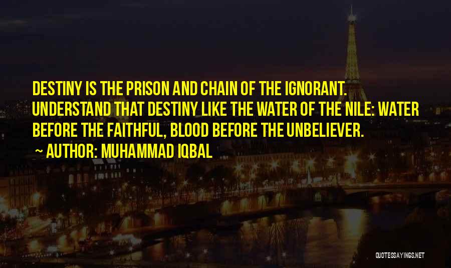 Rudakova Natalya Quotes By Muhammad Iqbal