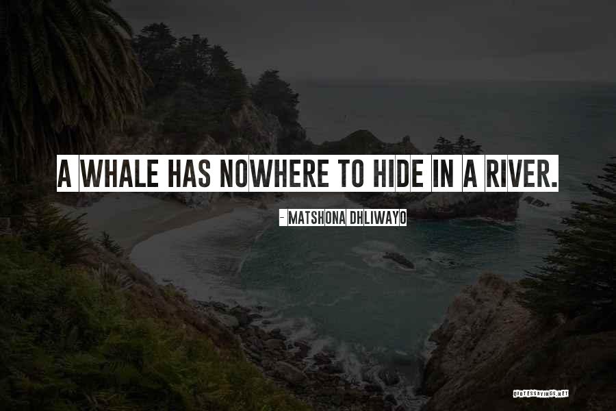 Rudasill Tucson Quotes By Matshona Dhliwayo Rudasill Tucson Quotes By Matshona Dhliwayo