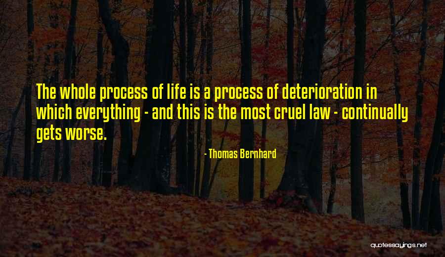 Rudbeckia Maxima Quotes By Thomas Bernhard Rudbeckia Maxima Quotes By Thomas Bernhard