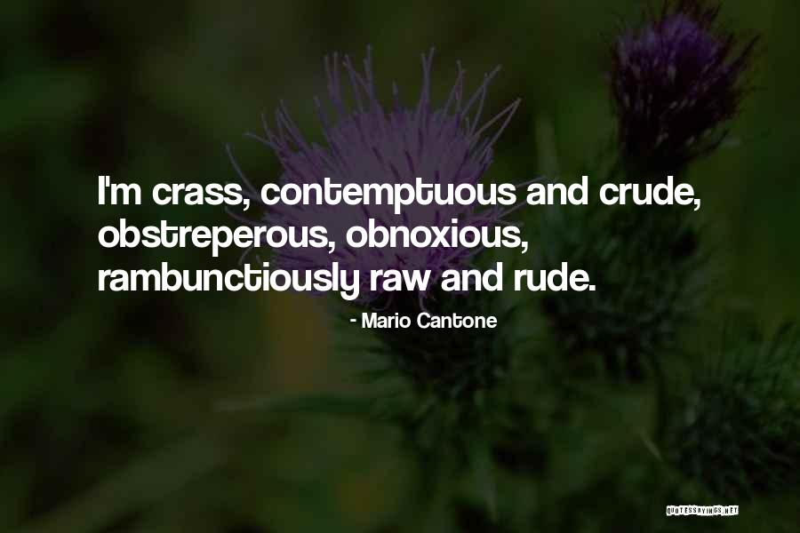 Rude And Crude Quotes By Mario Cantone Rude And Crude Quotes By Mario Cantone
