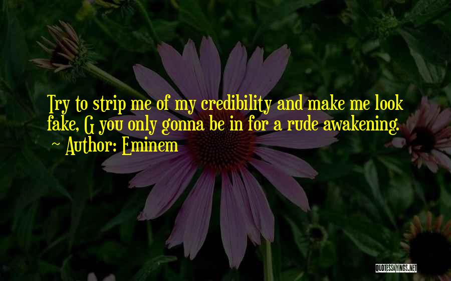 Rude Awakening Quotes By Eminem