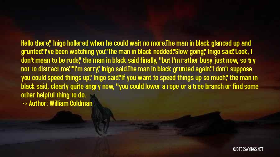 Rude Man Quotes By William Goldman