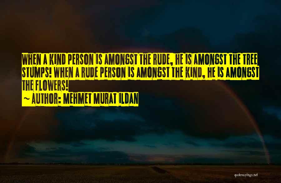 Rude Person Quotes By Mehmet Murat Ildan