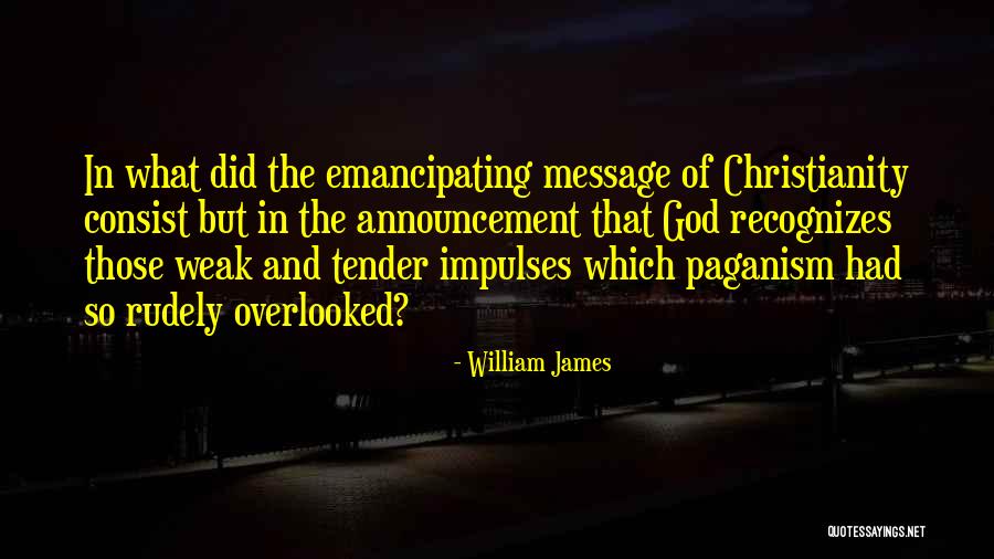 Rudely Quotes By William James