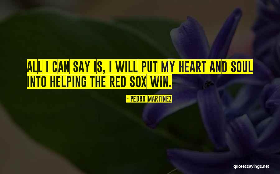 Rudensky Ay Quotes By Pedro Martinez Rudensky Ay Quotes By Pedro Martinez