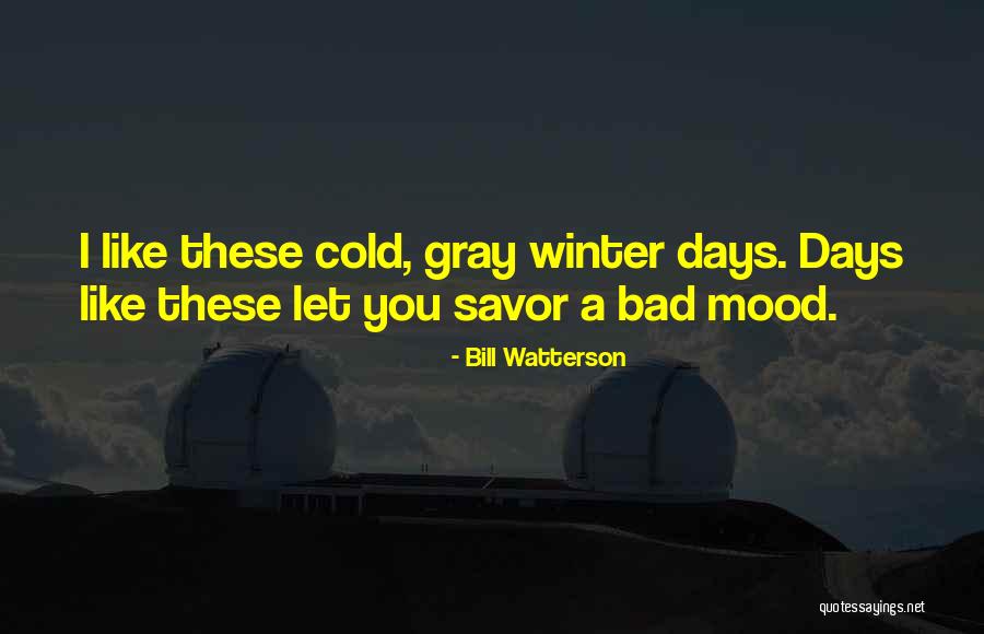 Rudest Animals Quotes By Bill Watterson Rudest Animals Quotes By Bill Watterson