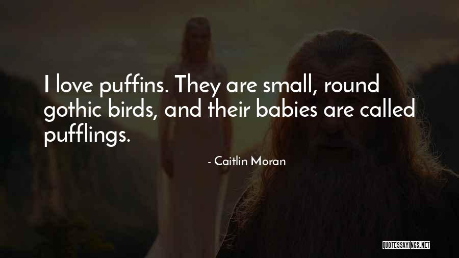 Rudnik Soli Quotes By Caitlin Moran Rudnik Soli Quotes By Caitlin Moran