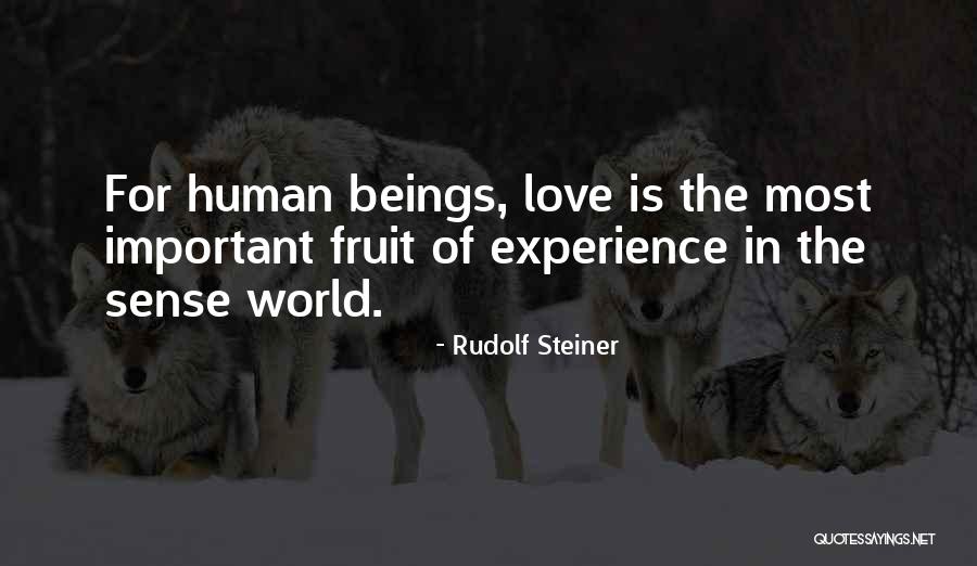 Rudolf Quotes By Rudolf Steiner Rudolf Quotes By Rudolf Steiner