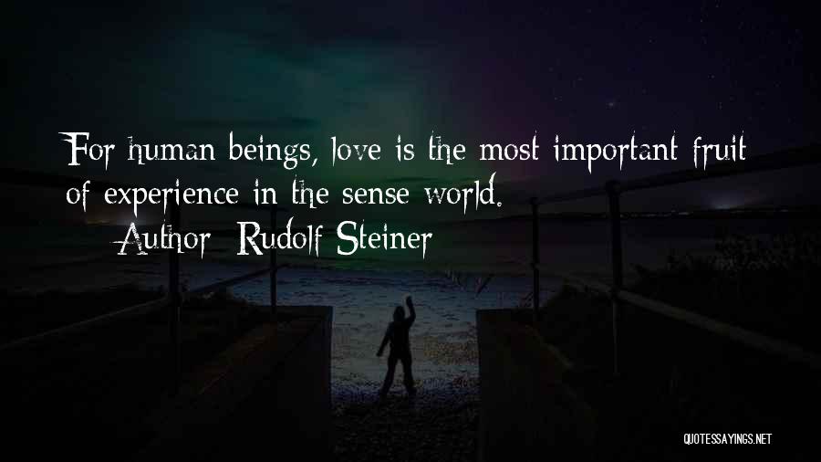 Rudolf Steiner Quotes 384788