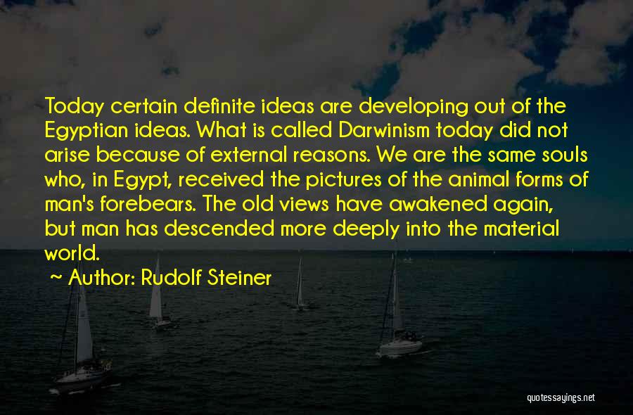 Rudolf Steiner Quotes 785157