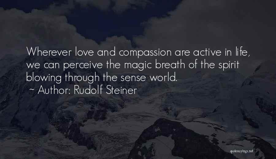 Rudolf Steiner Quotes 977142