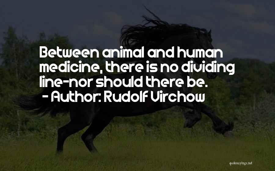 Rudolf Virchow Quotes 452291