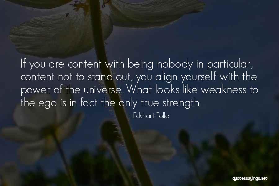 Rudolfo Anaya Albuquerque Quotes By Eckhart Tolle Rudolfo Anaya Albuquerque Quotes By Eckhart Tolle