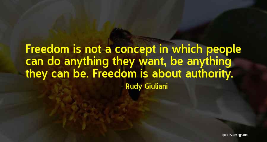 Rudy Giuliani Quotes 226182