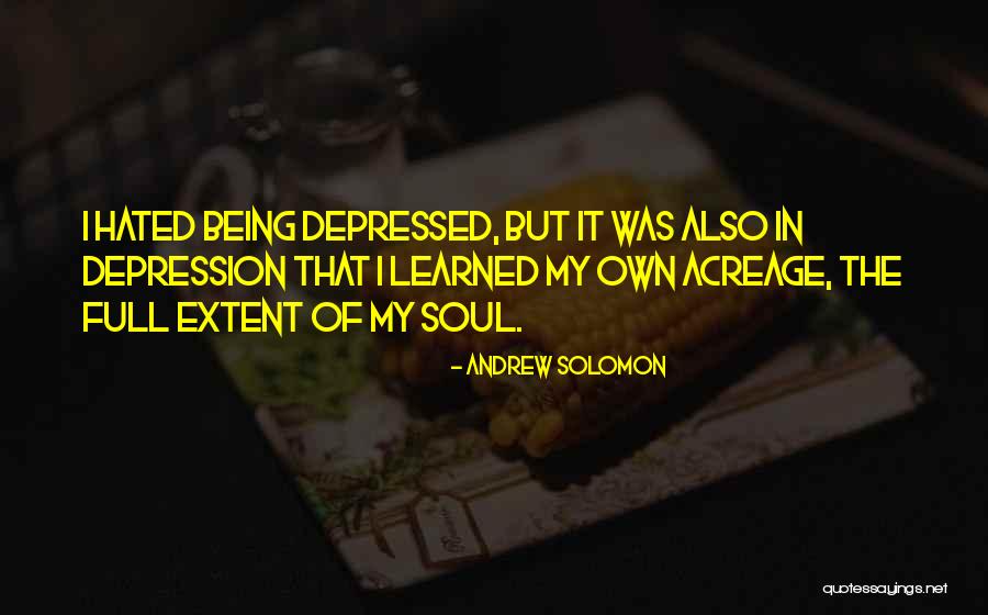 Ruedas Hidraulicas Quotes By Andrew Solomon Ruedas Hidraulicas Quotes By Andrew Solomon