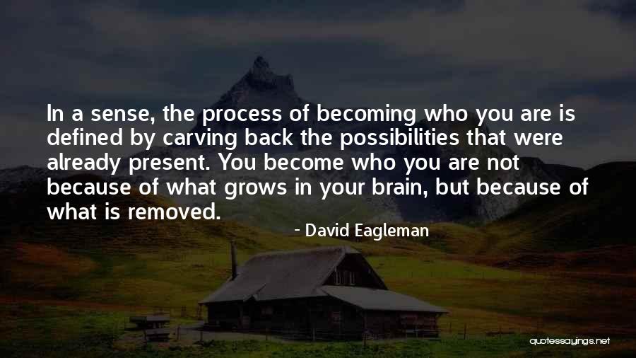 Rufa Mae Quotes By David Eagleman Rufa Mae Quotes By David Eagleman