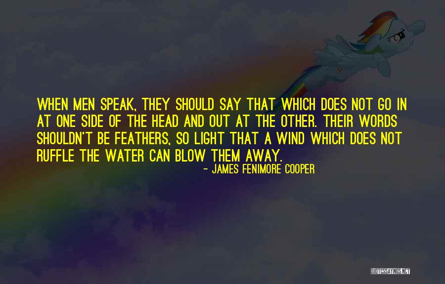 Ruffle Feathers Quotes By James Fenimore Cooper