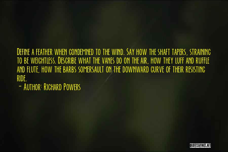 Ruffle Quotes By Richard Powers