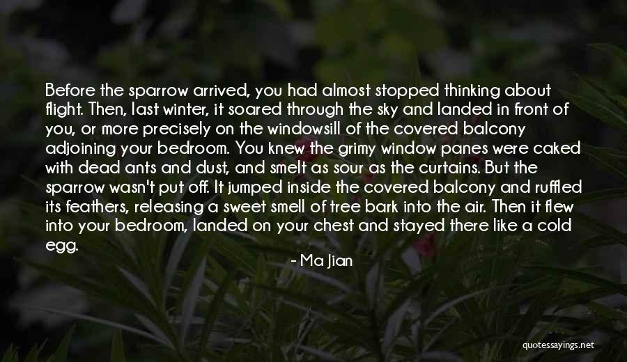 Ruffled Quotes By Ma Jian Ruffled Quotes By Ma Jian