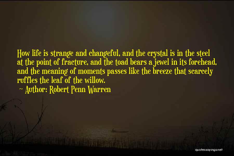 Ruffles Quotes By Robert Penn Warren