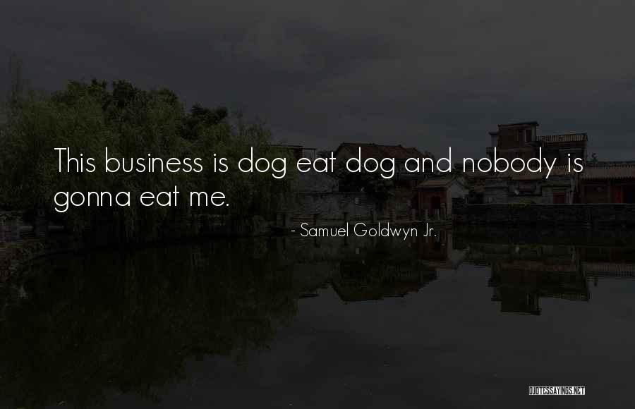 Rufino Alejandro Quotes By Samuel Goldwyn Jr.