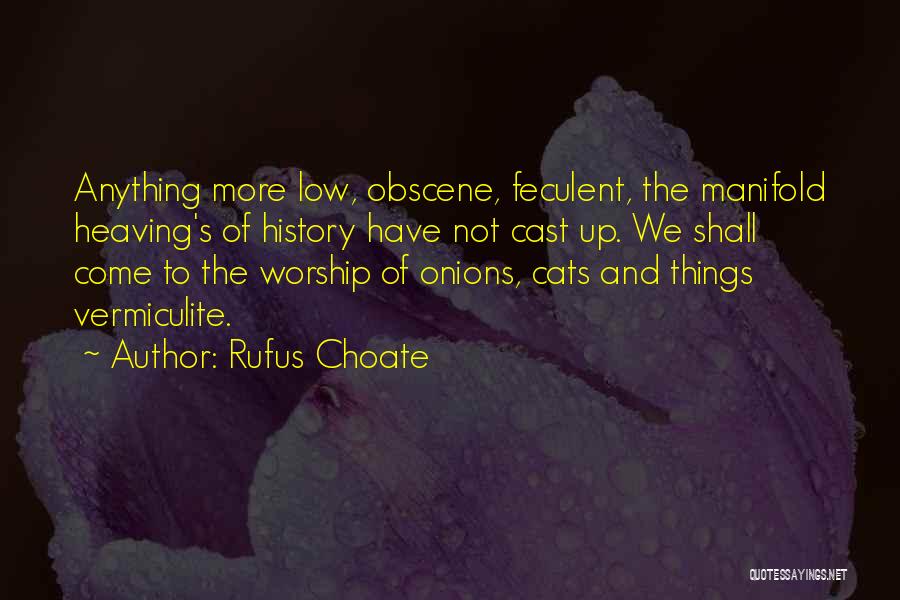 Rufus Choate Quotes 2124139