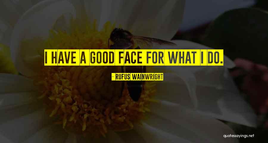 Rufus Wainwright Quotes 1090088