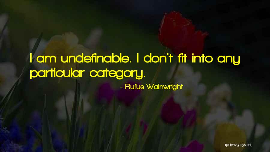 Rufus Wainwright Quotes 1514458