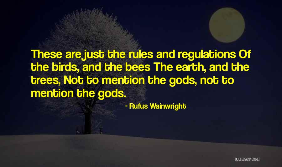 Rufus Wainwright Quotes 1793658 Rufus Wainwright Quotes 1793658