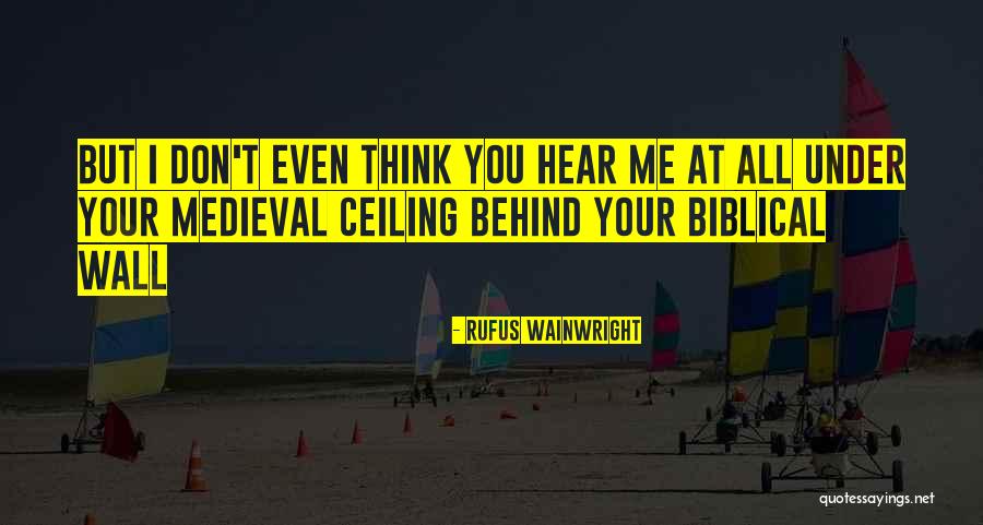 Rufus Wainwright Quotes 1830884 Rufus Wainwright Quotes 1830884
