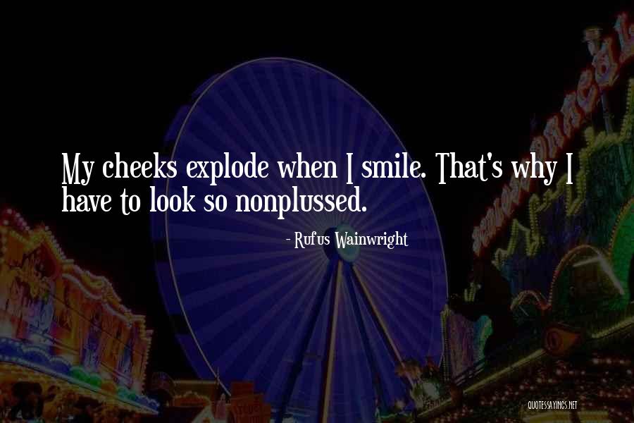 Rufus Wainwright Quotes 1894855 Rufus Wainwright Quotes 1894855