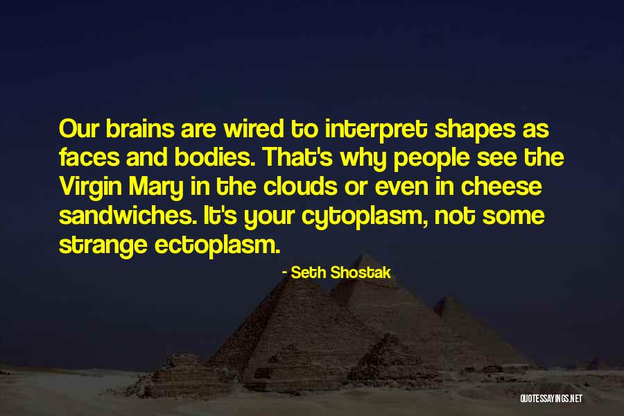 Ruge Quotes By Seth Shostak Ruge Quotes By Seth Shostak