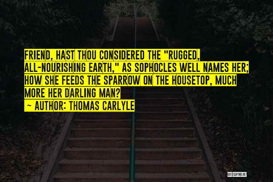 Rugged Man Quotes By Thomas Carlyle