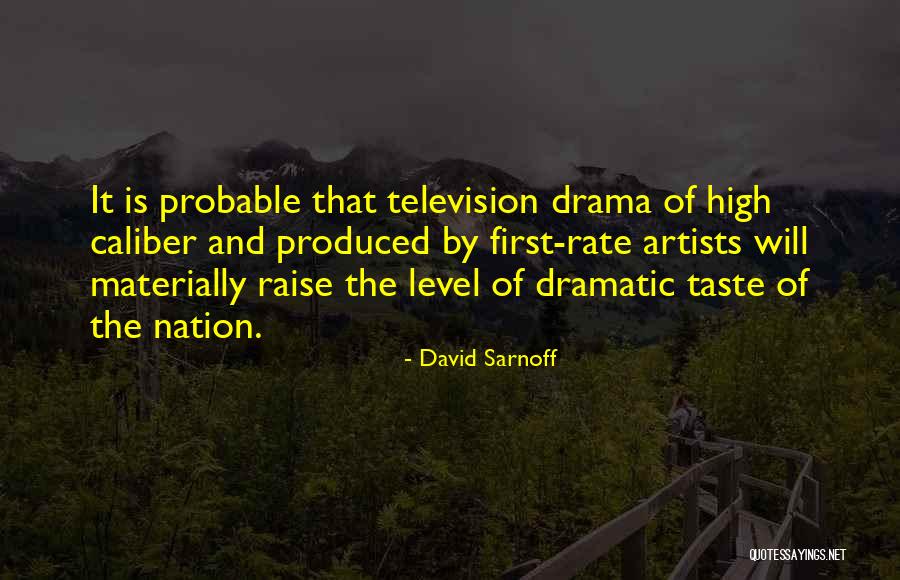 Rugile Barzdziukaite Quotes By David Sarnoff Rugile Barzdziukaite Quotes By David Sarnoff