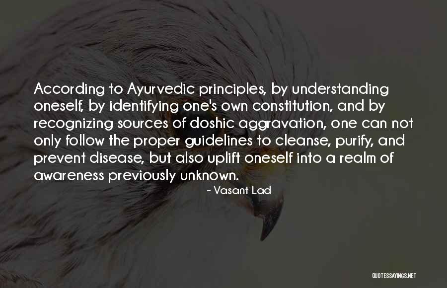 Rugowski Aviation Quotes By Vasant Lad Rugowski Aviation Quotes By Vasant Lad