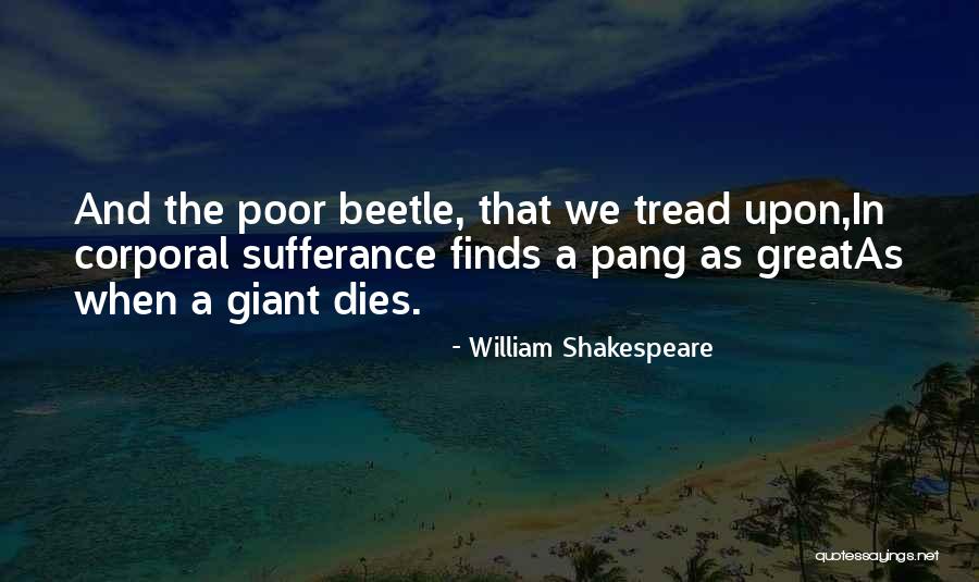 Rugrats Reptar Quotes By William Shakespeare Rugrats Reptar Quotes By William Shakespeare