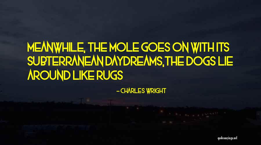 Rugs Quotes By Charles Wright