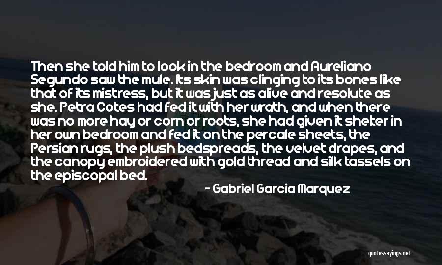 Rugs Quotes By Gabriel Garcia Marquez