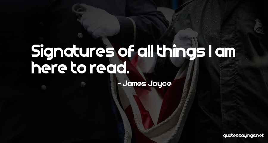 Ruhige Lage Quotes By James Joyce Ruhige Lage Quotes By James Joyce