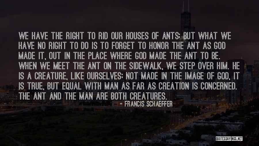 Ruhiger Translation Quotes By Francis Schaeffer Ruhiger Translation Quotes By Francis Schaeffer